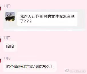 我让你删的文件你怎么删了哈哈哈哈哈，什么玩意儿​​​