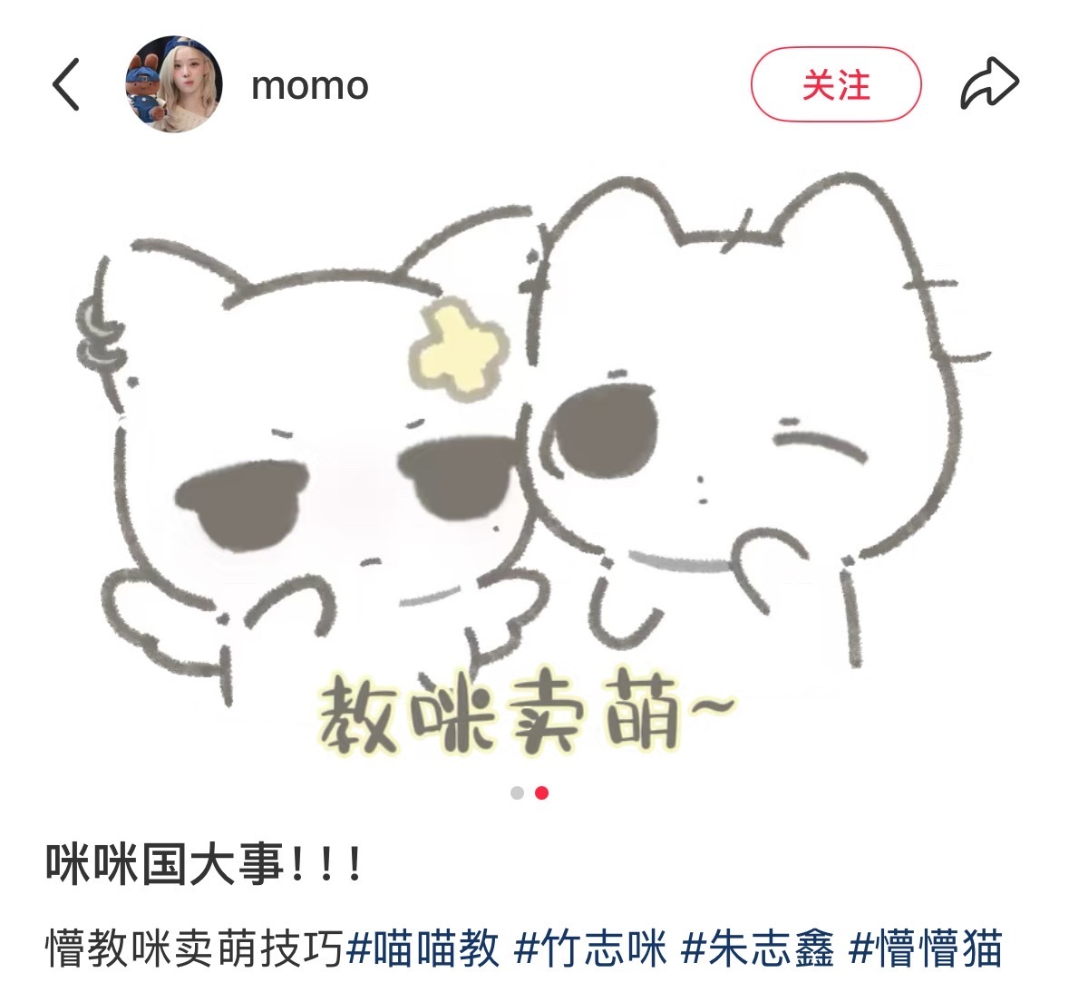 懵生气了！你们自己看着办😤​​​