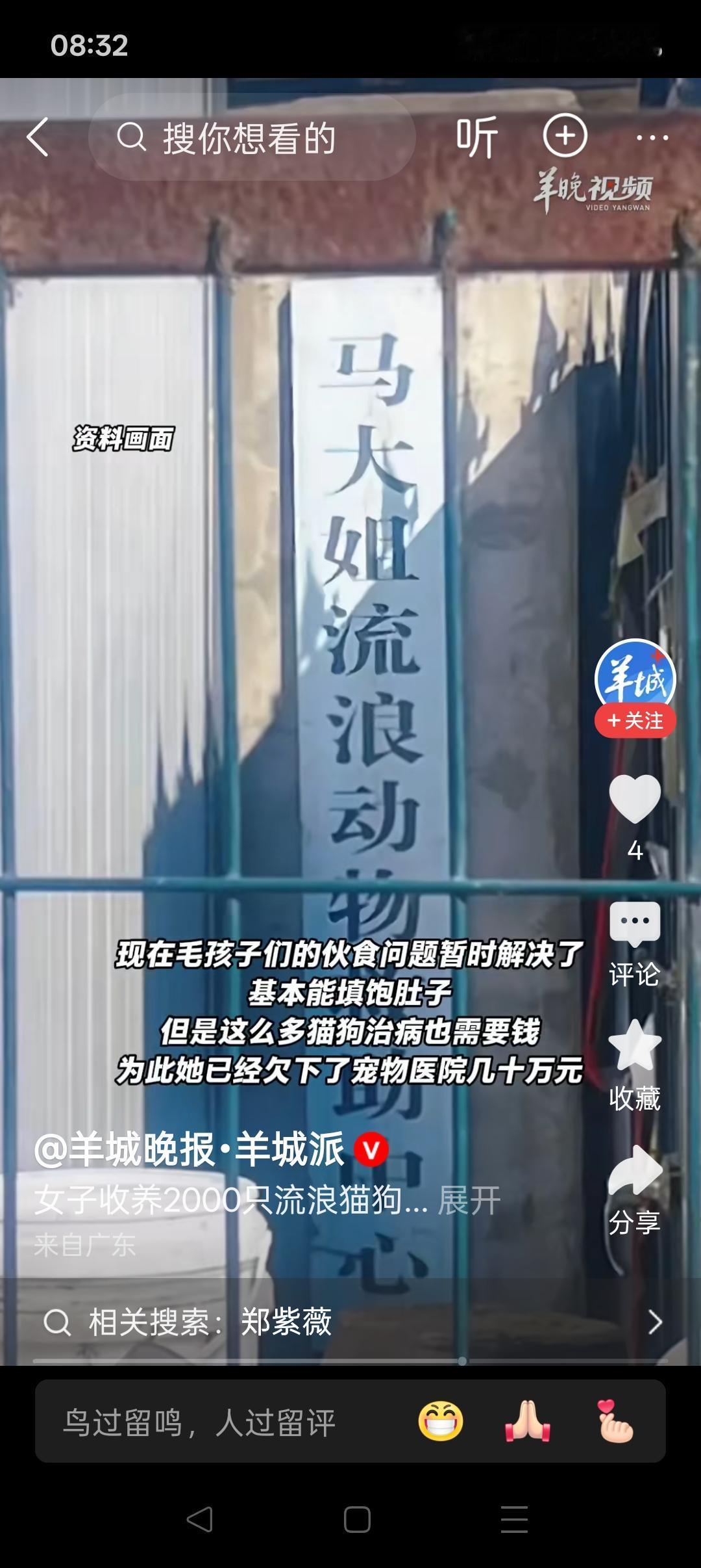 嘴上的伪善最廉价：从“马大姐流浪动物救助中心”现状看所谓“爱心”！黑龙江齐