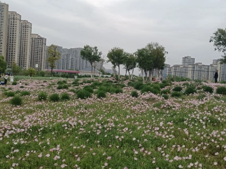 昨天早上姑姐莫名其妙的转了几百块钱过来，我问原因为什么转，回答说她女儿结婚，回去