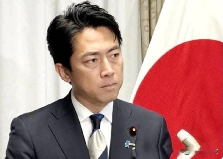 日本防长"破防"后语出惊人：越南早就是我们的人了，吓虎人也不选个份量足点的！