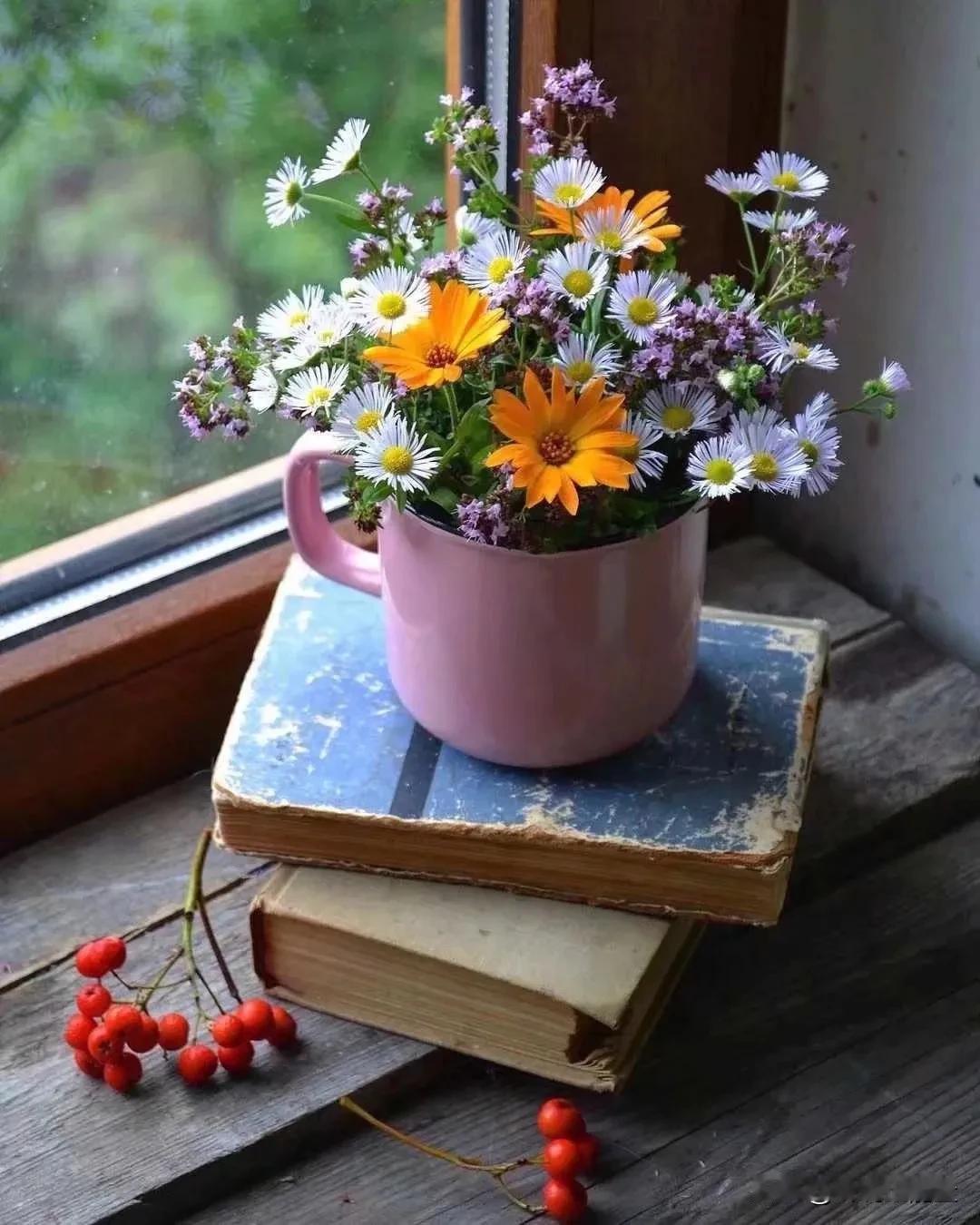 这段话，没有一句华丽辞藻，却把人性最残酷的一面，扒得底裤都不剩。为什么我们