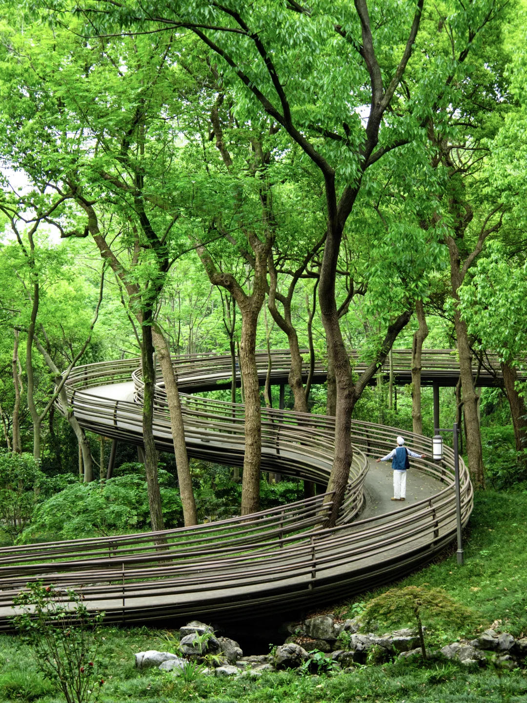 建议感觉能量低的人都走一下杭州这条路线🌿