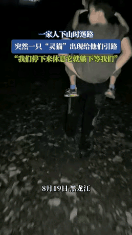 大灵猫带路！“科学无法解释！”黑龙江，一家子深夜去爬山，结果下山时迷了路，正当