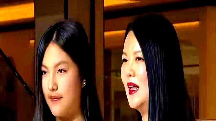 16岁王诗龄被传是方丈女儿？谣言靠一张旧截图。2008年李湘采访释永信，镜