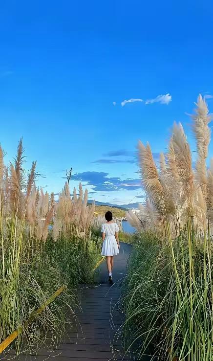 说实话，身边二婚的就没几个真的幸福的，二婚夫妻易拿现任和前任对比，产生不满和抱怨