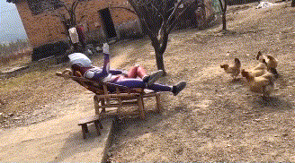 上该过年了你们回家了吗？奥特曼身为第一批回家人员已经到家喂鸡了