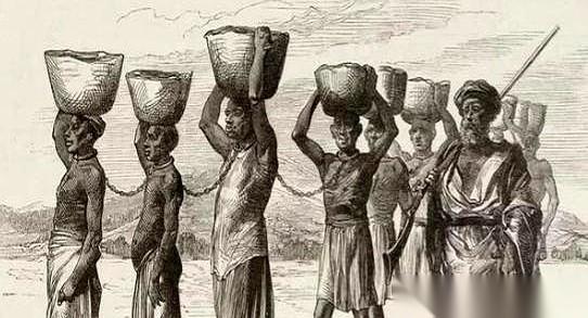 我跟你说，最让我后背发凉的，根本不是奴隶贩子有多残忍。是他们那套把“人”变成“