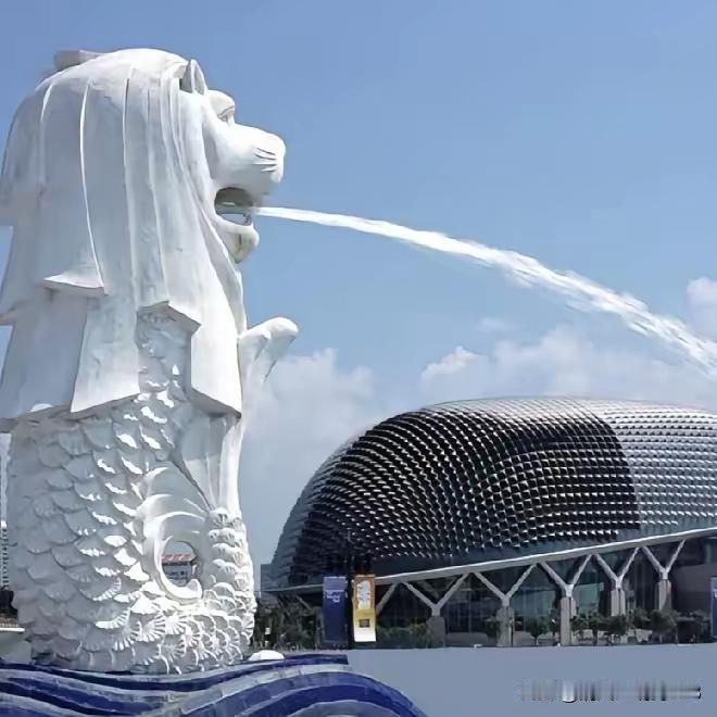 我去过新加坡几次，每次去给我感觉华人、华侨挺多的，市民遵守法律规则，地面干净，没