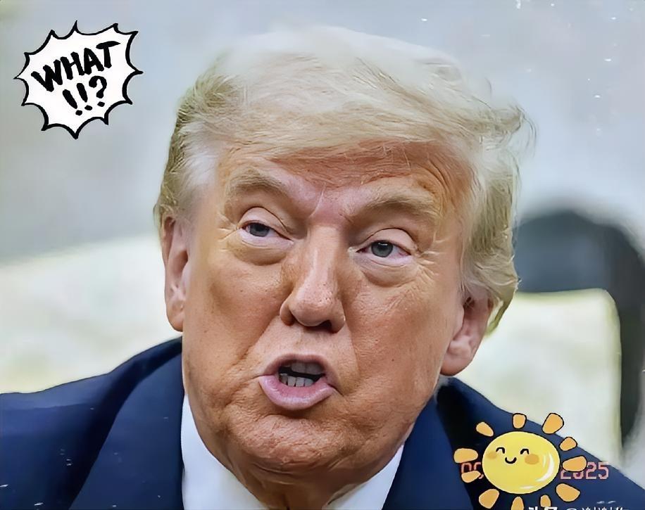 糟了，居然有人开始给美国支招了！有网友说建议美国给中国加100%关税没意义