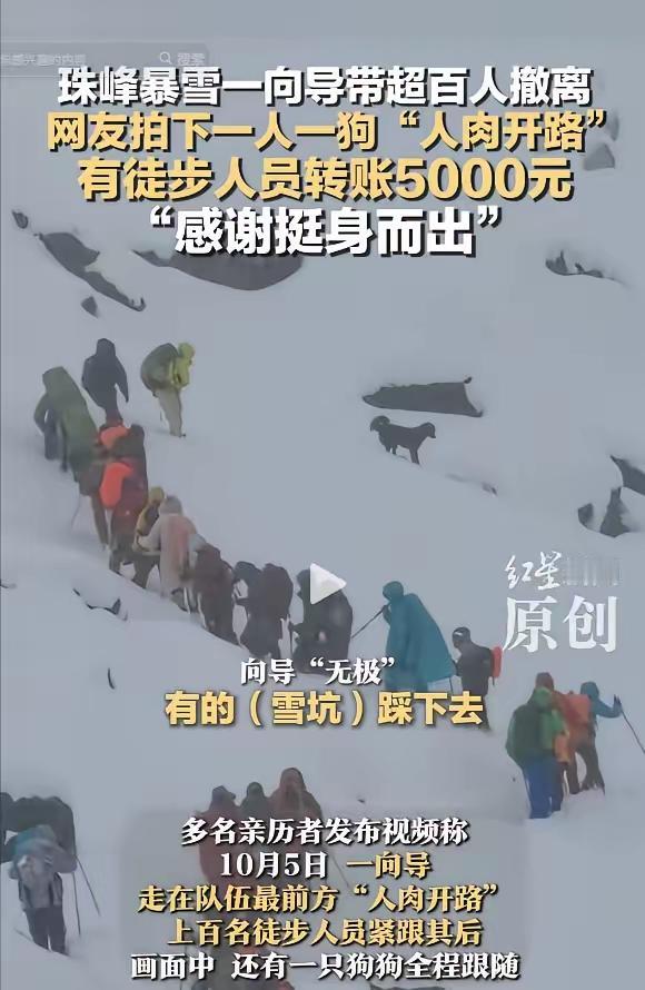 西藏珠峰突发暴雪，一向导冒“死”带百余人雪中撤离，还把狗派到前面带路，历经9个小