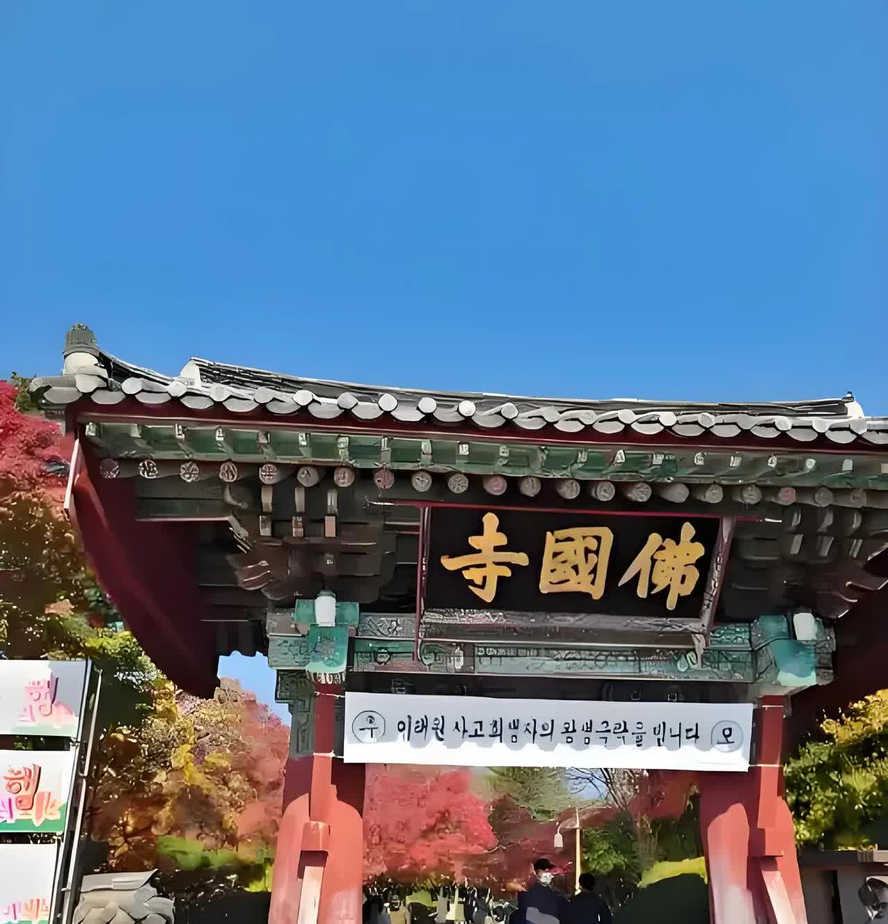 韩国对中国免签，为什么去的人反而不多？内行人的一席话道出其中真相：就这么