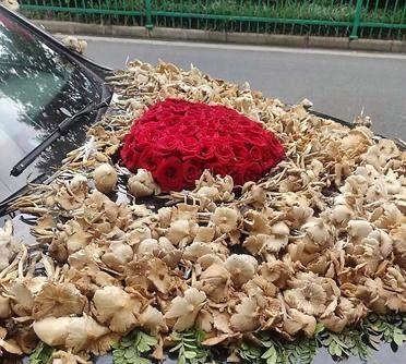 这是哪个地区的婚车……