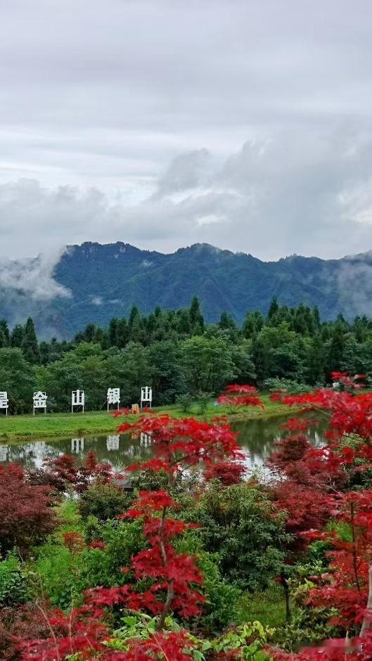 看了下气象消息，今天最高气温也就27℃到28℃，在三伏天能有这样凉爽宜人的天气，