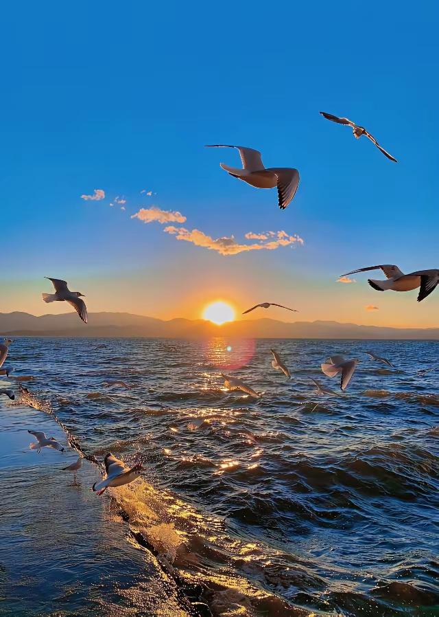 建议错峰旅行，好处那真是多多。就说假期出游，人多得像蚂蚁搬家。之前我五一小长假去