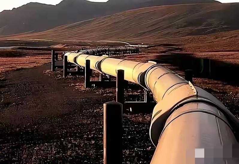 德国🇩🇪这下真要慌了。有知情人士薄爆料，俄罗斯已明确通知哈萨克斯坦和德国，