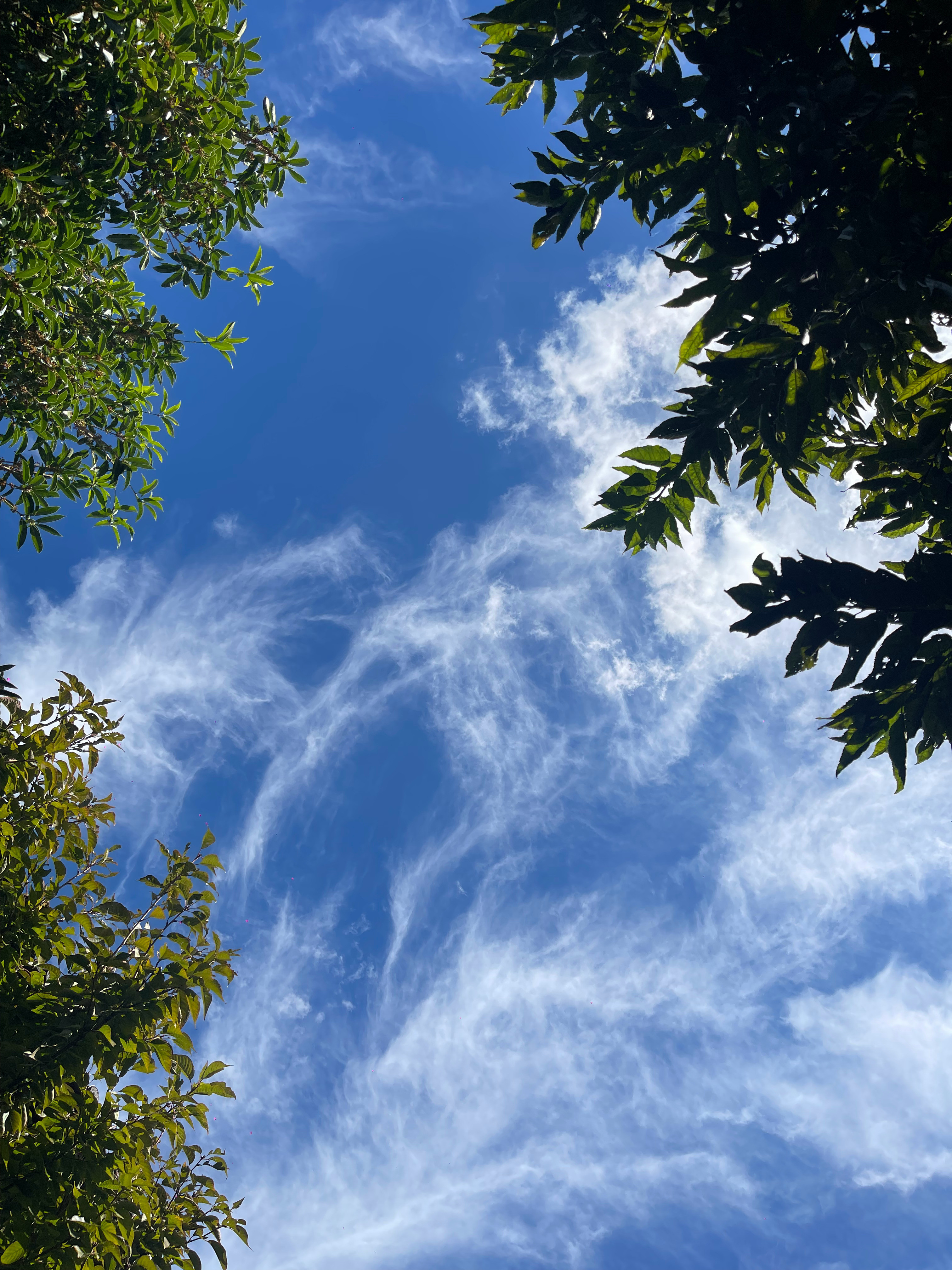 对于一个无法进行自我改变的人来说，去与这个世界进行抗争，去怨怼他人和环境，去努力