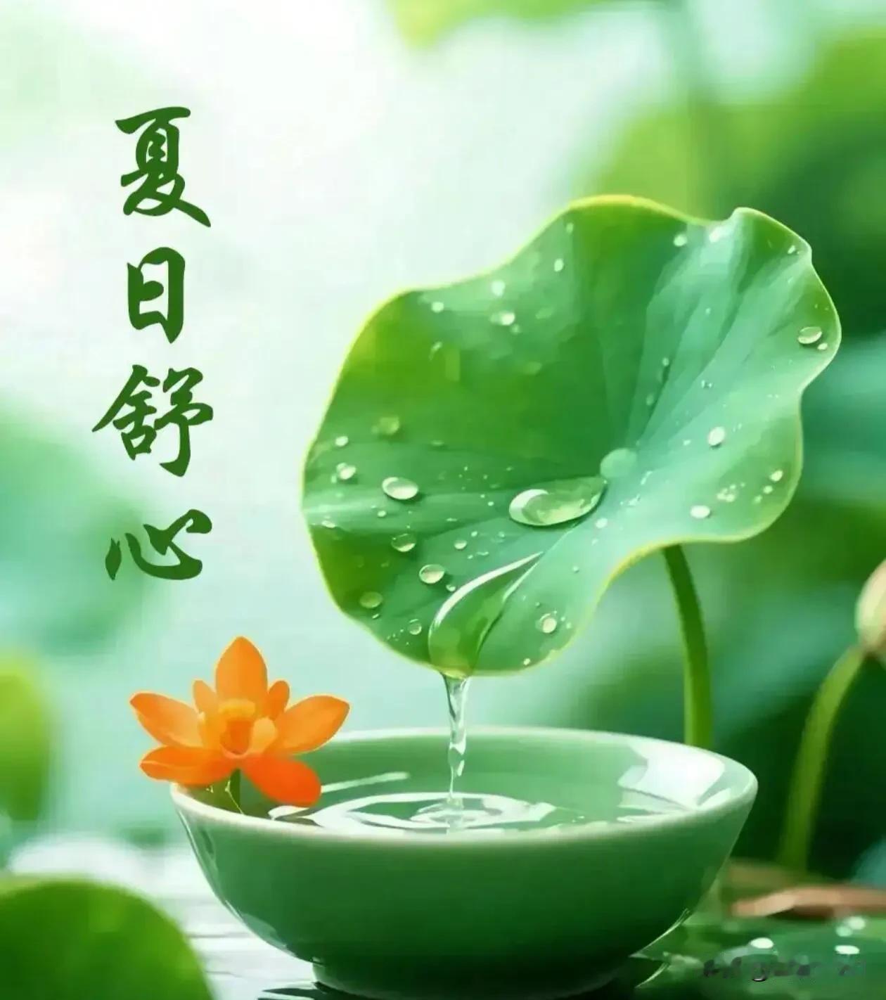 把烦恼留在昨夜，带着期待开启今天，早安。