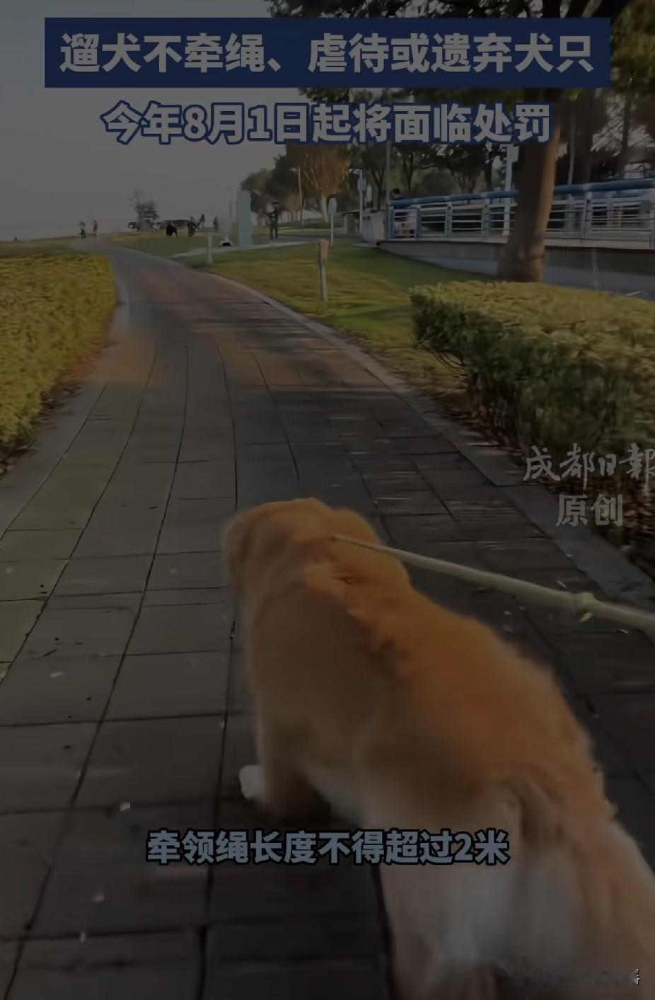 成都的养狗新规太给力了！狗咬伤人，狗主必须带伤者去医院检查，并且承担费用；外出