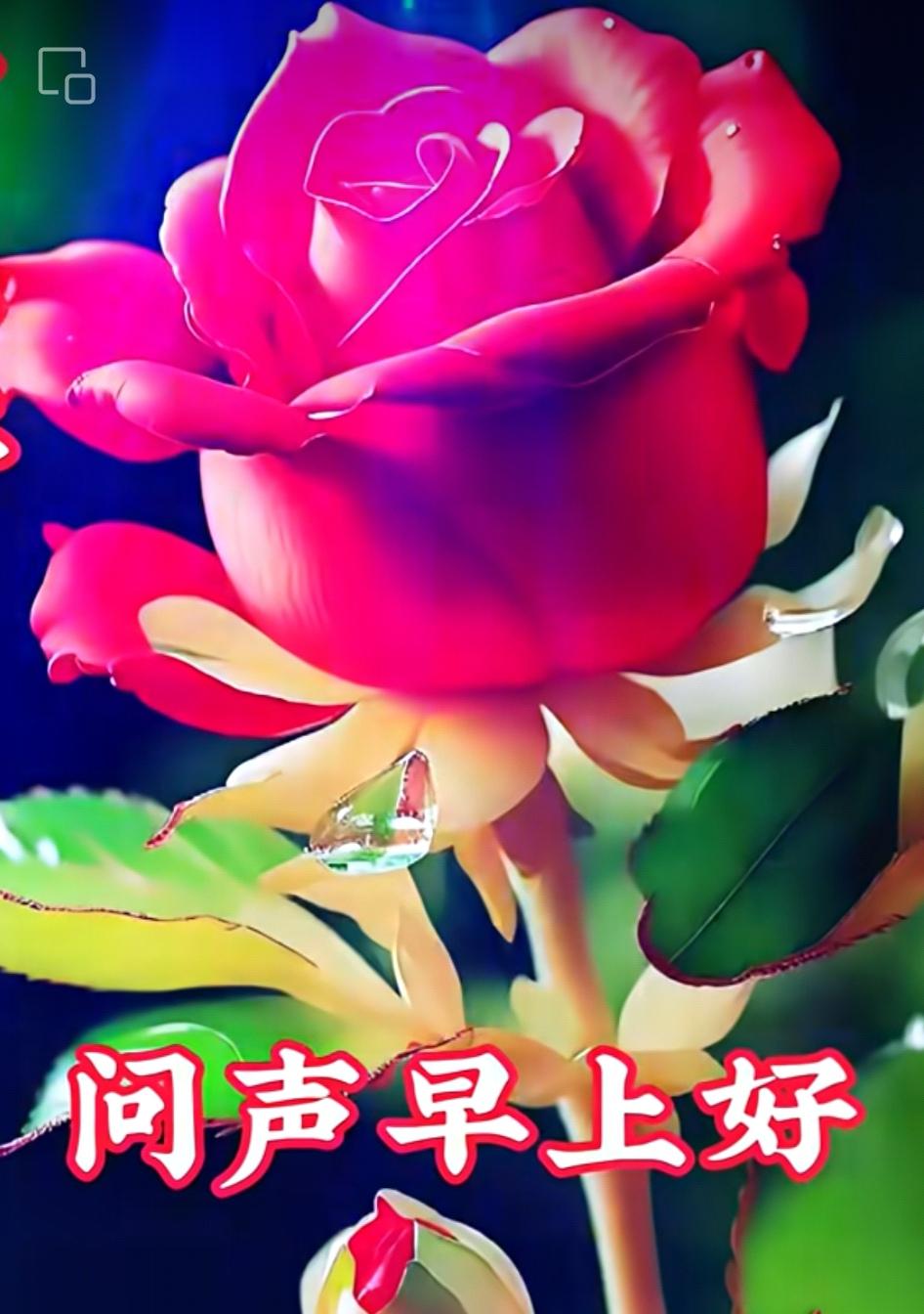 思念藏在心中，問候等到清晨，我們彼此不忘，友情已經長久，祝你平安快樂、