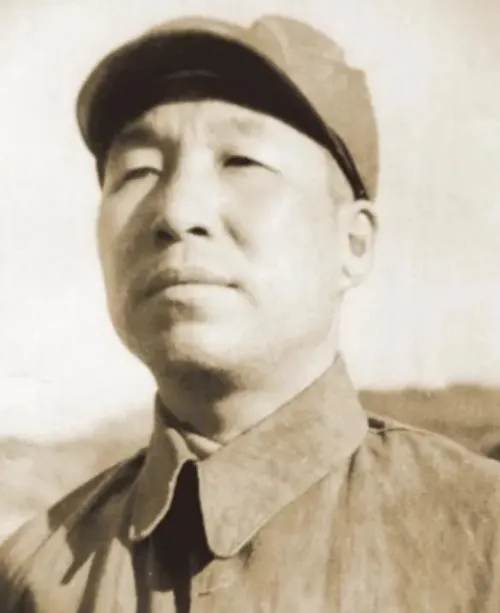 1982年，张翠屏去世后，儿子朱海清打开母亲生前视若珍宝的木盒子，看到盒子里面的