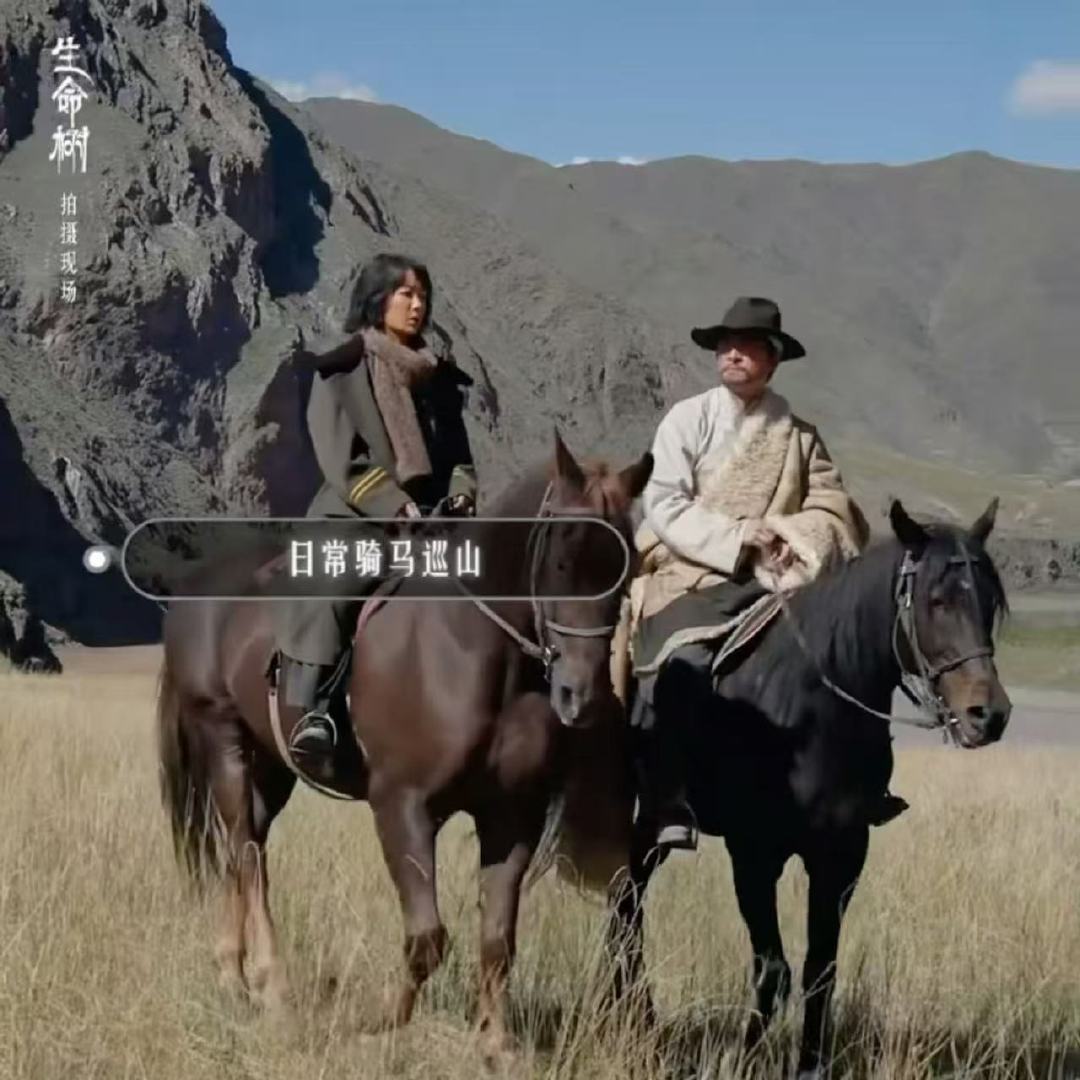 杨紫胡歌骑马巡山杨紫胡歌生命树骑马巡山杨紫胡歌骑马巡山，好有趣的日常