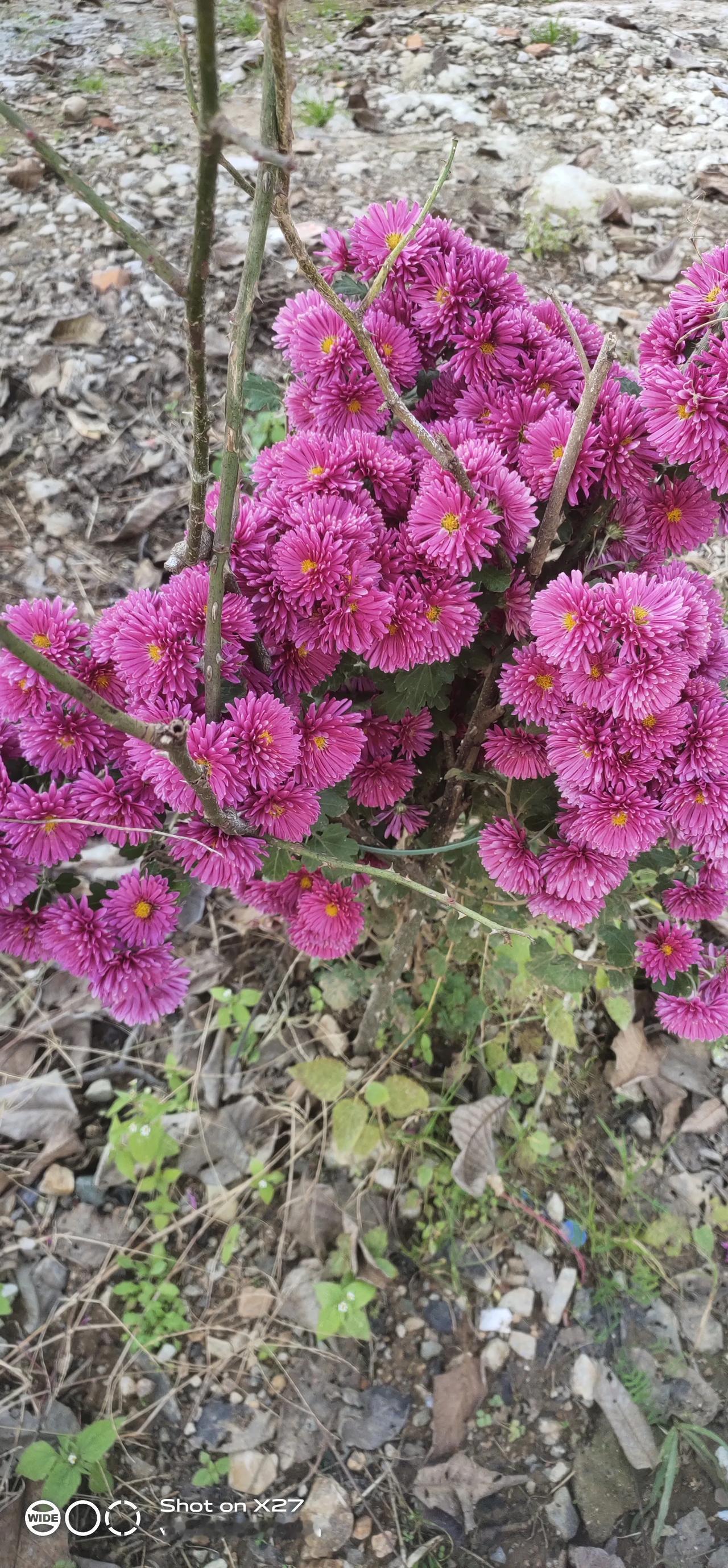 我一个表姐56了，和一个男人同居20多年了，那男人有妻子有两个女儿，每次亲戚们说