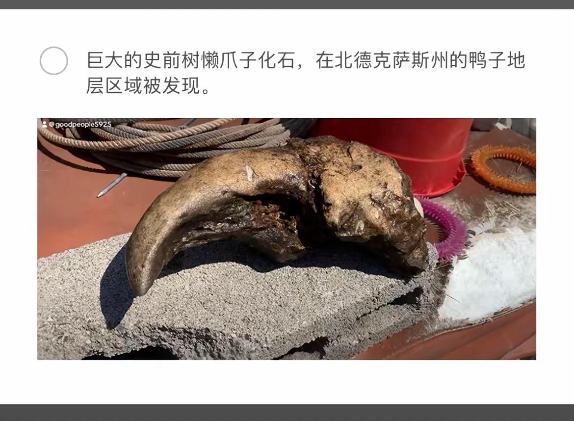 史前巨爪化石，北德克萨斯州惊现。