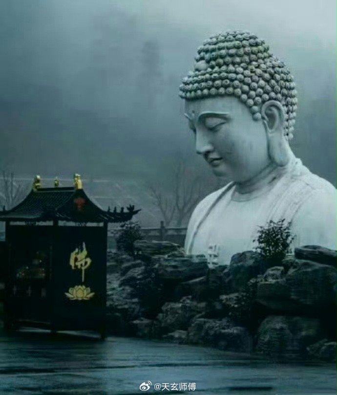 身弱之人，情路不必硬争身弱的姑娘，在感情里本就气场偏弱、心力不足，遇事最忌硬碰硬