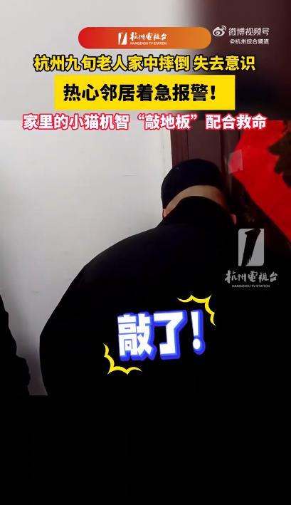 “万物有灵！”浙江，一男子和邻居九旬独居老人约好，这天上门为老人修煤气灶，可男子