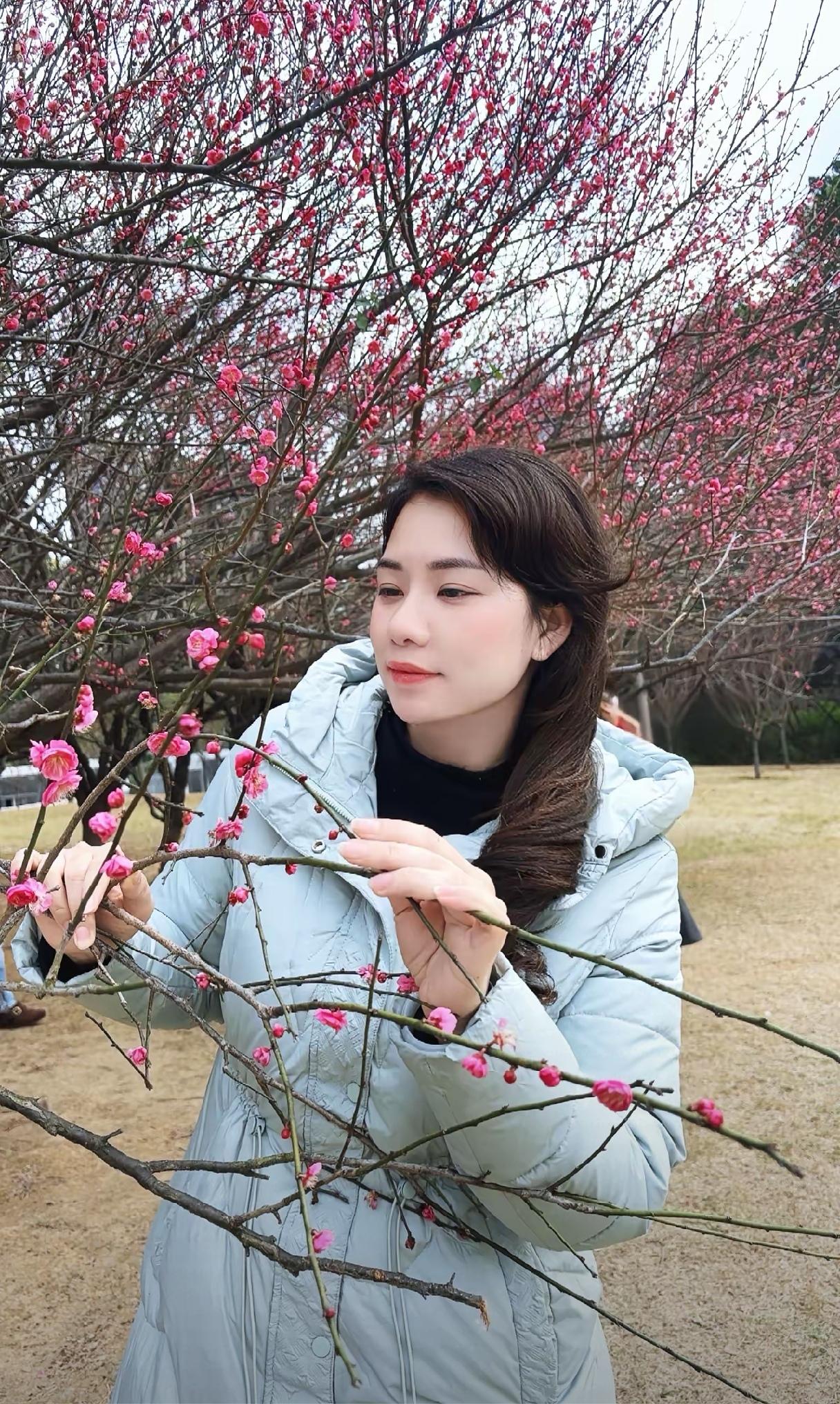 哪里的桃花开了？