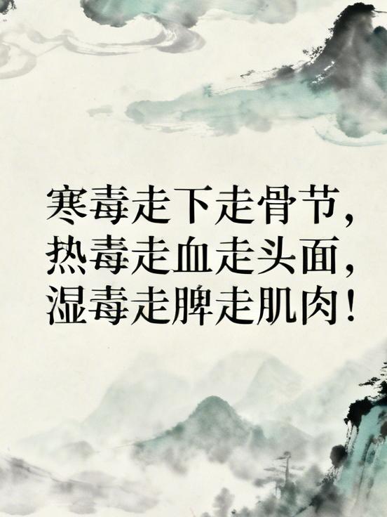 中医不传之秘：寒毒走下走骨节，热毒走血走头面，湿毒走脾走肌肉！可用这9个中成药对