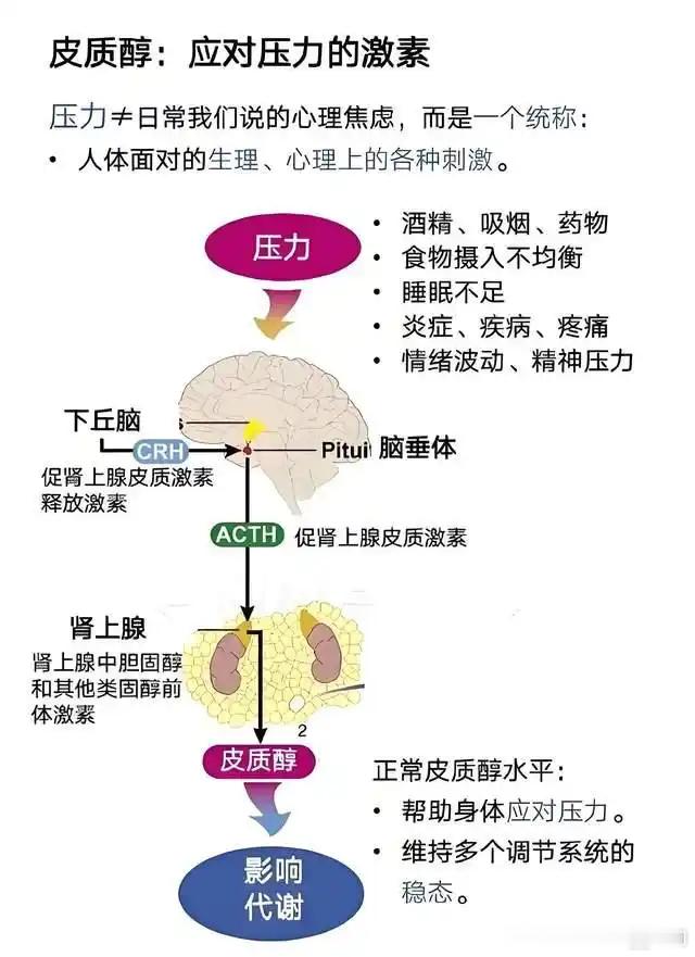 你的脸和头发不仅是个人颜值的体现，更是身体状态的“晴雨表”。长期焦虑内耗、工作
