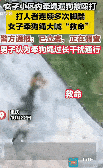 这狗是真的狗！重庆女子牵绳遛狗被踹到喊救命，她死死攥着狗绳没松手，