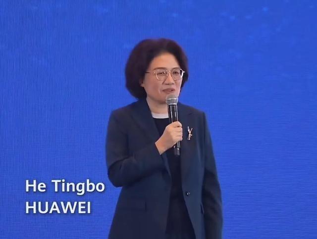 华为当年的芯片之谜，答案就是韬定律！谜底终于揭晓！2023年华为Mate60系列