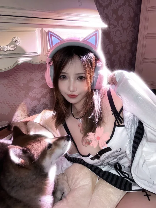 猫儿喜欢小狗💓