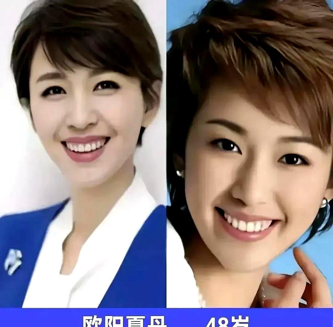 央视那几个女主持，被网友一句“实力派战斗机”夸上了天。听着像玩笑，细想却贴切。她