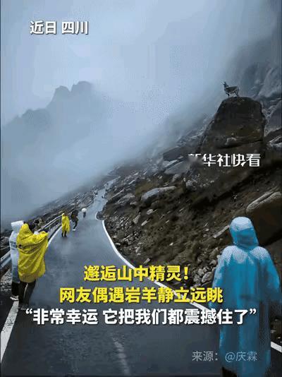 这一幕太震撼，连新华社都忍不住转发了！四川，男子去莲宝叶则旅行，因为大雾缭绕