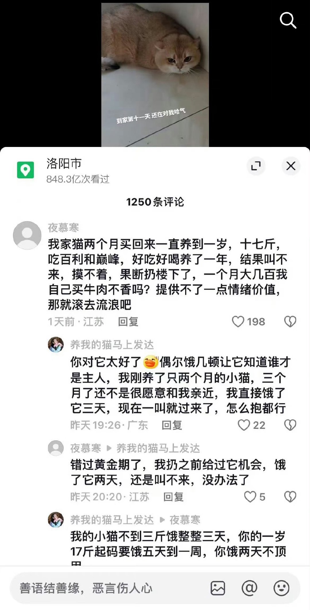 流浪猫狗就是这么来的......​​​