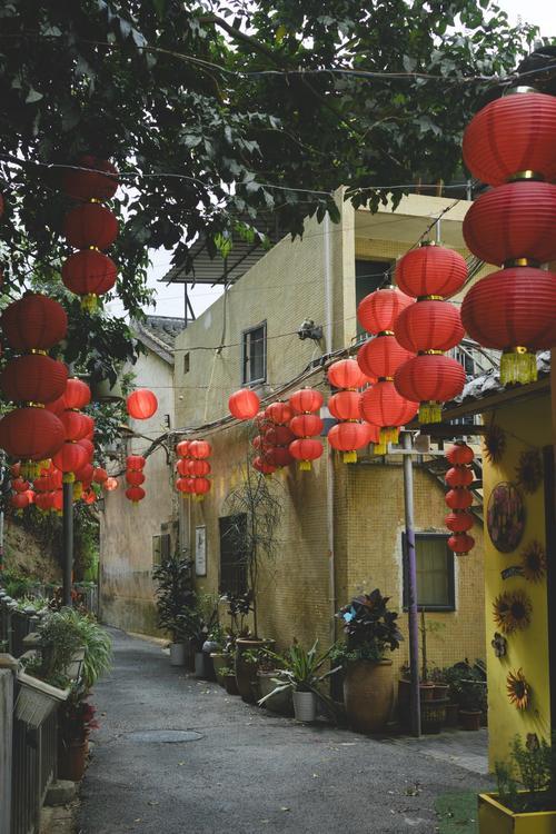 今天38岁的表哥跟我说，自己实在没脸回去过年了，因为直到现在自己还是光棍一个，并