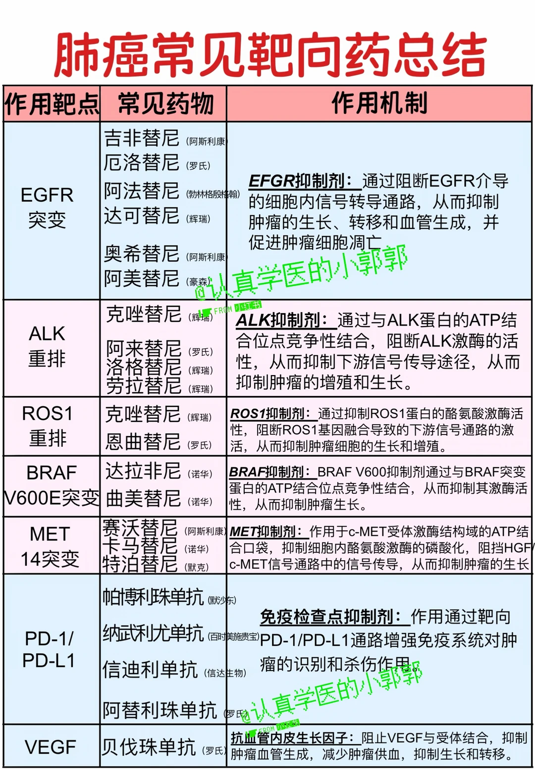 肺癌常见靶向药总结