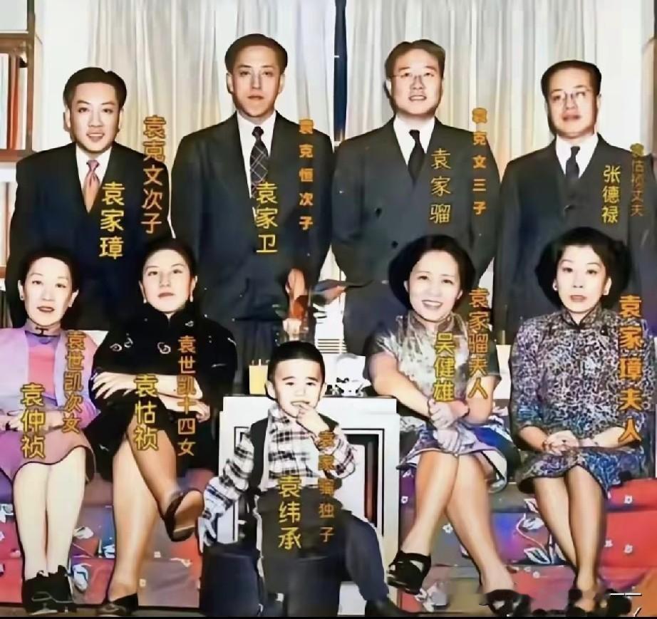 十个媳妇，32个孩子，如果袁大总统一家拍照要用多大的焦距？一、先辈家庭背景
