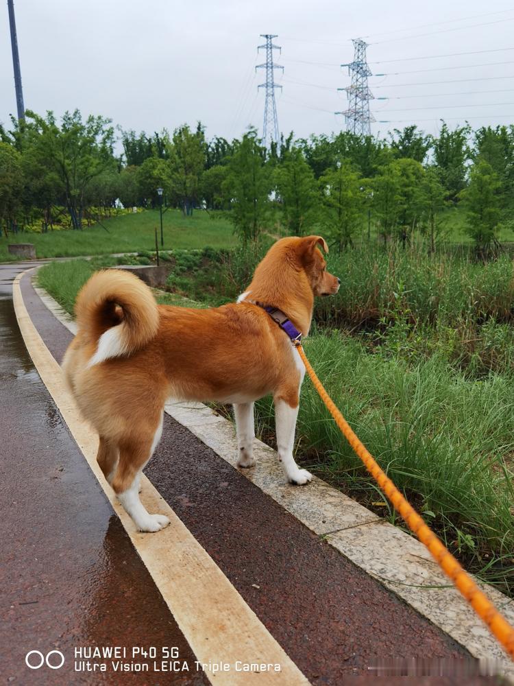 还在聊王楚钦冲后勤发火？我告诉你，那根本不是脾气，那是整个草台班子，唯一的发动机