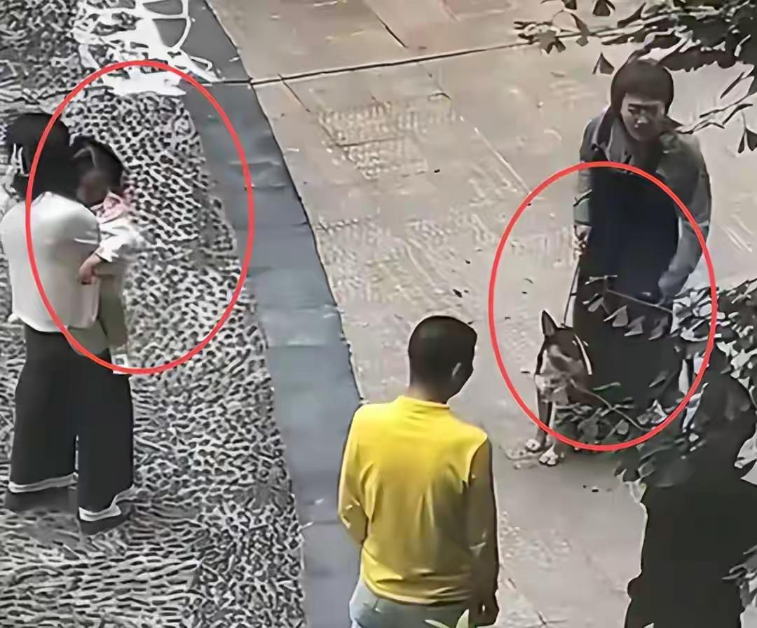 仁寿那个狗主人被刑拘了，对此事恼火的不仅有被害者和广大网友，更恼火的恐怕是她的老
