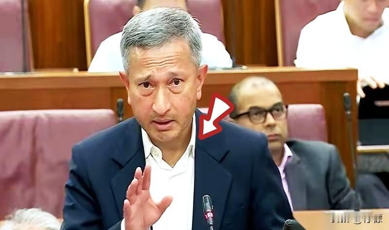 新加坡急了。在东盟的会上，外长几乎是拍着桌子，让中国“尊重”马六甲的地位。翻