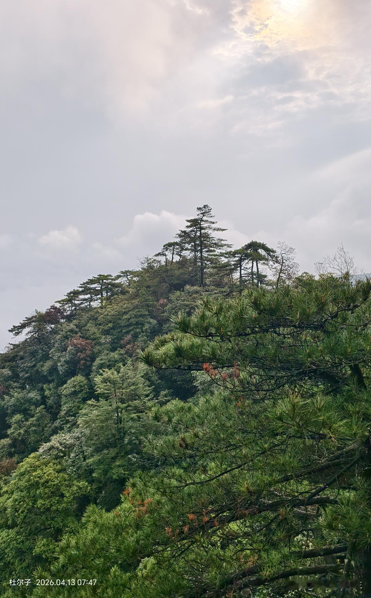 早就想着去天下第一仙山的三清山看看这次乘老伴有假期成行了从南宁去三清山，可坐