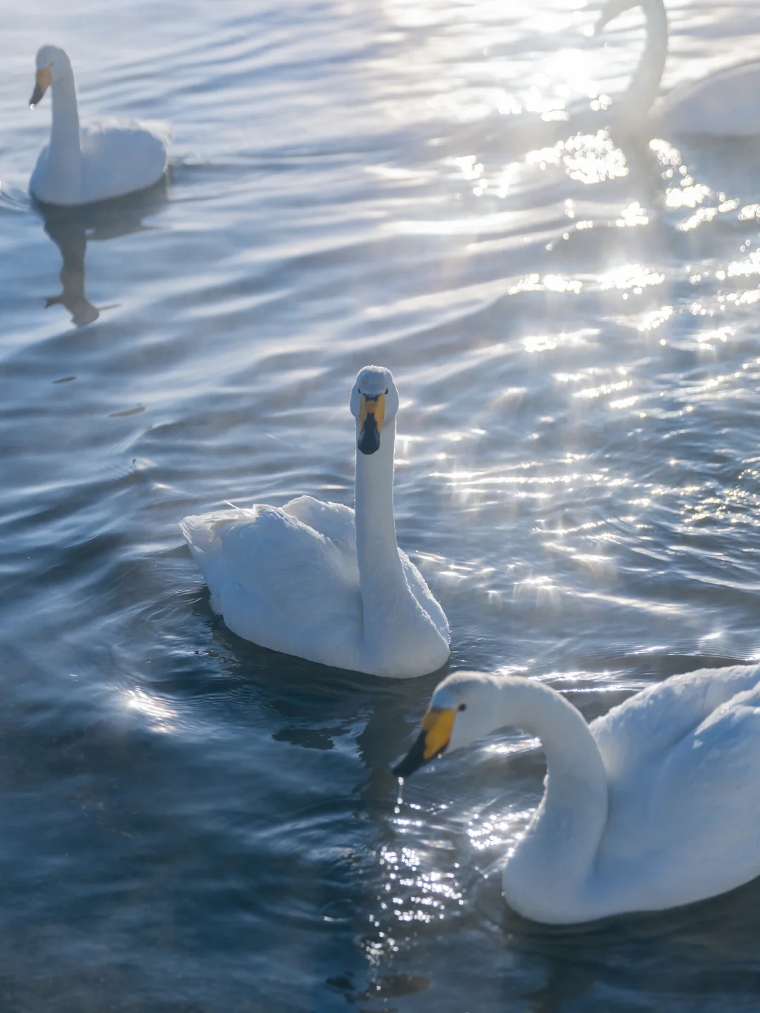 终于知道这种富士蓝调氛围感滤镜怎么调了‼