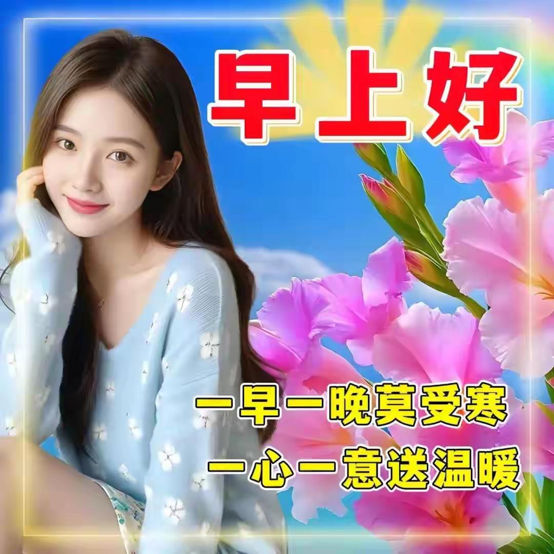 🌷早上好🌷安闲是日常清欢，康健是岁月静好，知交是暖心相逢，惦念是长情