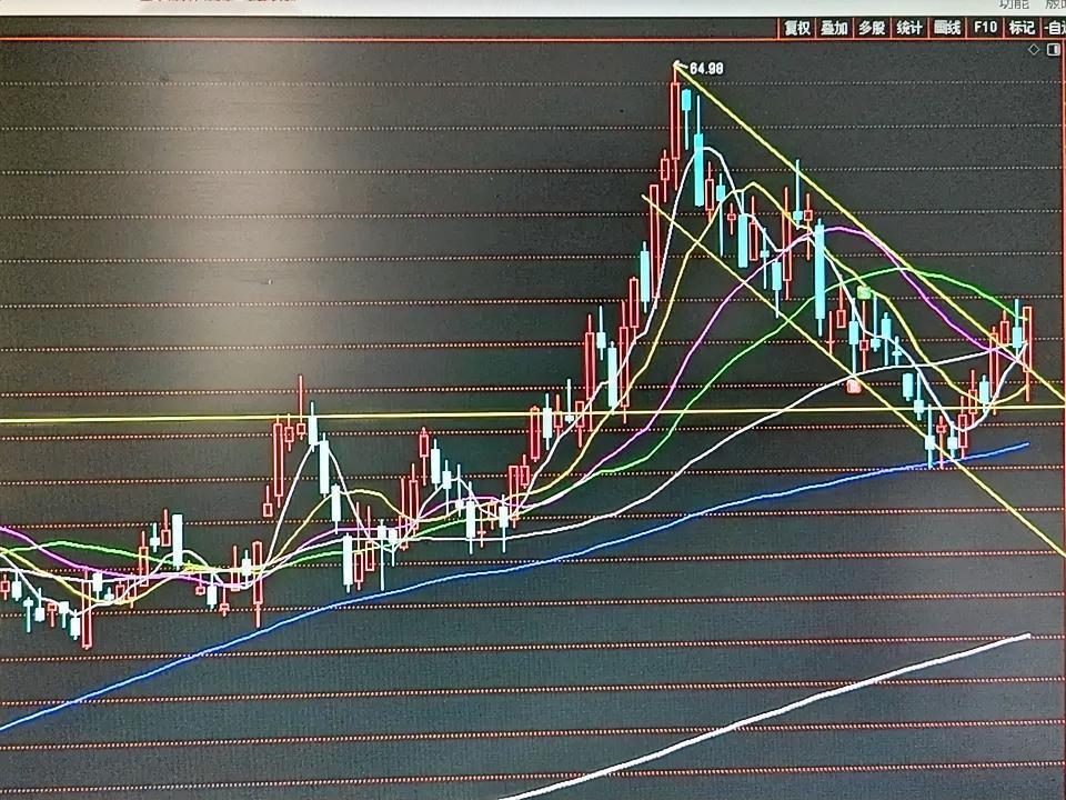 天赐材料（002709）基本面+技术面完整拆解一、基本面：中报业绩增长逻辑
