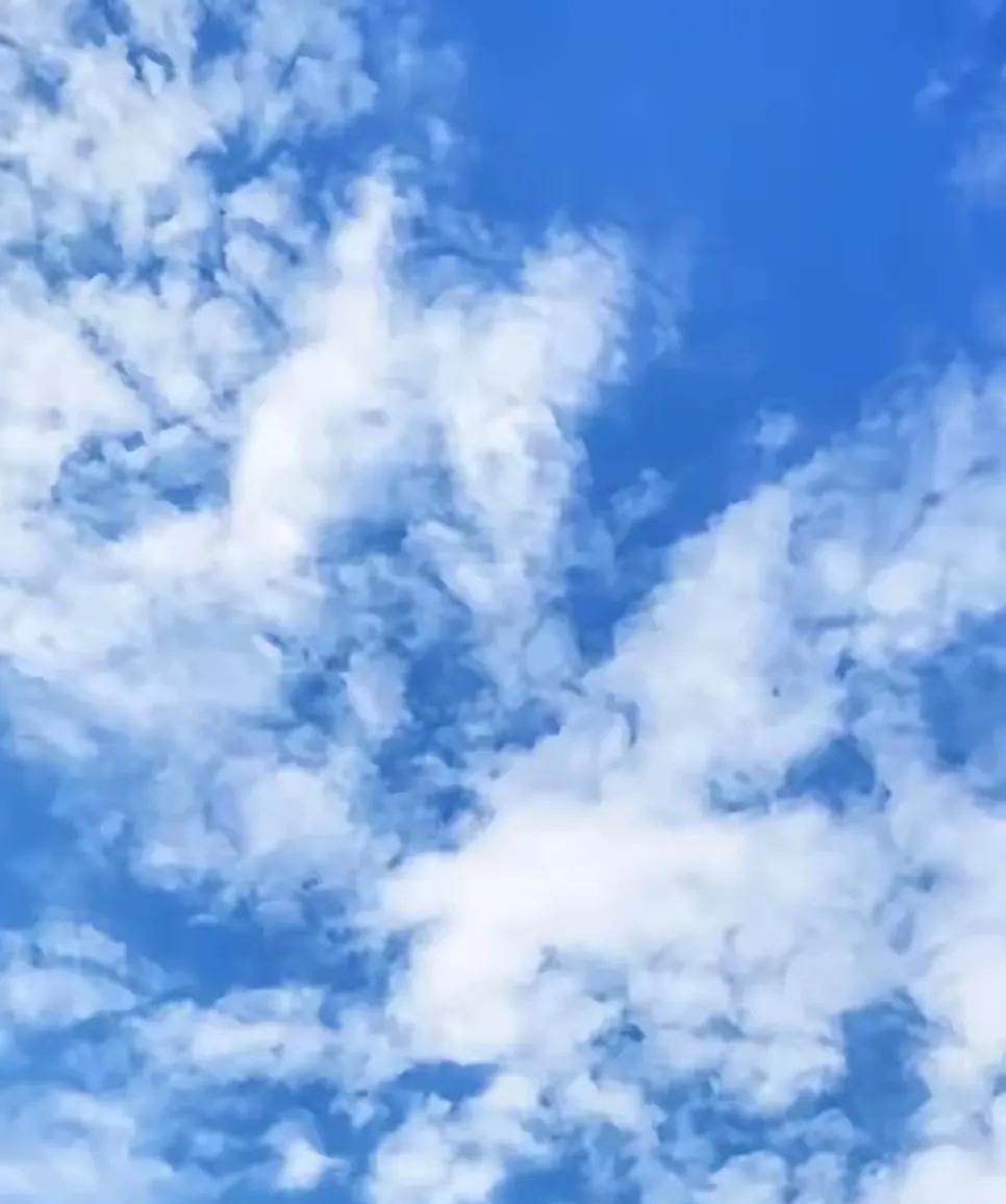 前两天就说，济南15号白天到16号凌晨有中到大雨。15号晚新闻联播后的天气预报是